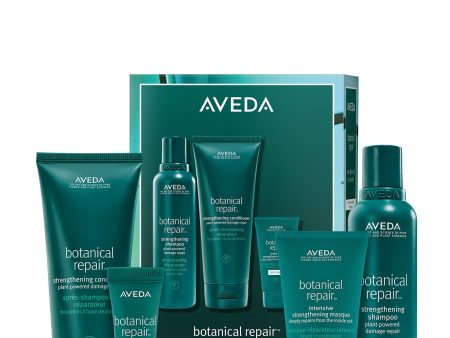 Aveda Botanical Repair™ Strengthening Hair System - Light Fashion