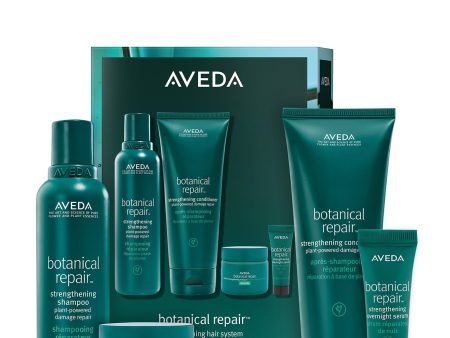 Aveda Botanical Repair™ Strengthening Hair System - Rich Fashion