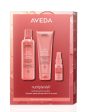 Aveda Nutriplenish™ Hydrating Hair System - Light For Discount