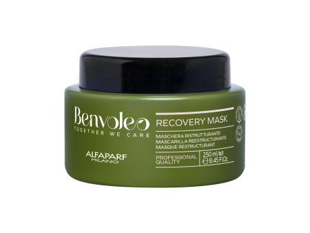 Alfaparf Milano Benvoleo 
Recovery Mask 250ml Online Hot Sale