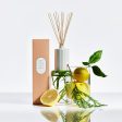 CIRCA Alchemy Grapefruit & Cedarwood Diffuser 250ml Online Sale