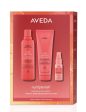 Aveda Nutriplenish™ Hydrating Hair System - Deep Online Hot Sale