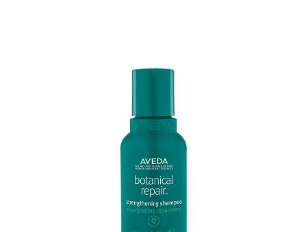 Aveda Botanical Repair™  Strengthening Shampoo  50ml Online now