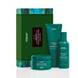 Aveda Botanical Repair™ Strengthening Essentials Rich Set For Sale